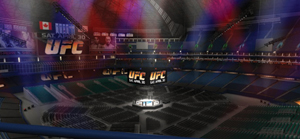 UFC 129 